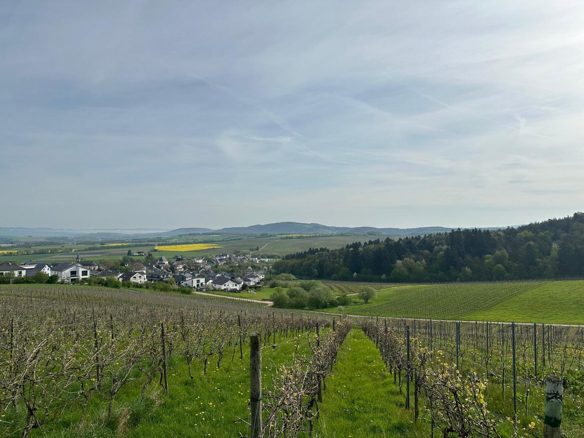 Ferienwohnung Moselherz - Urlaub Im Wein- Und Ferienort Bekond Zewnętrze zdjęcie