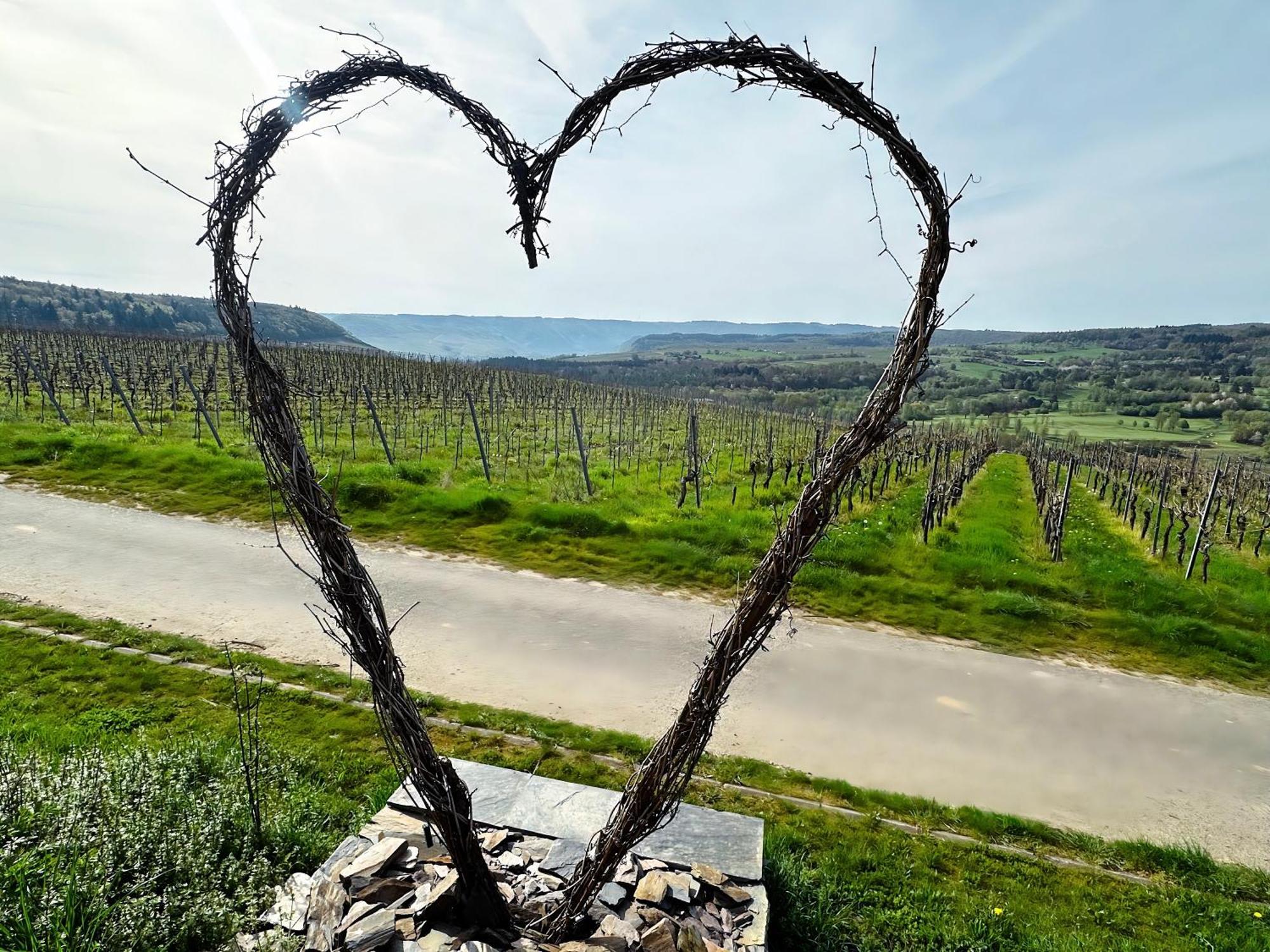 Ferienwohnung Moselherz - Urlaub Im Wein- Und Ferienort Bekond Zewnętrze zdjęcie